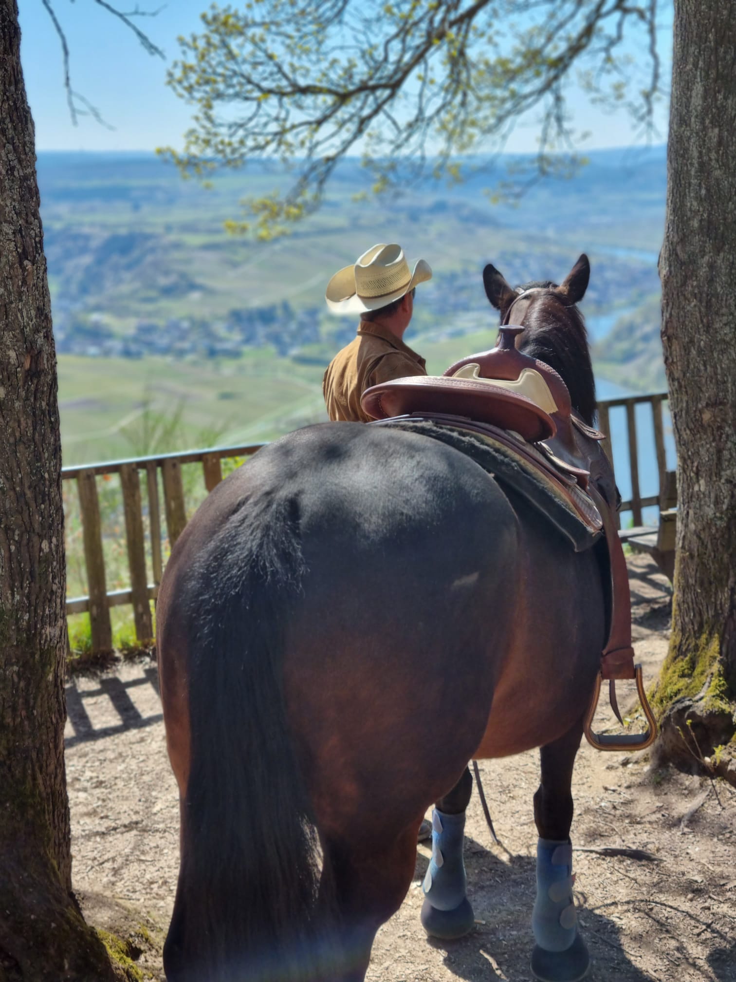 Sigis-Ranch - Die Ranch