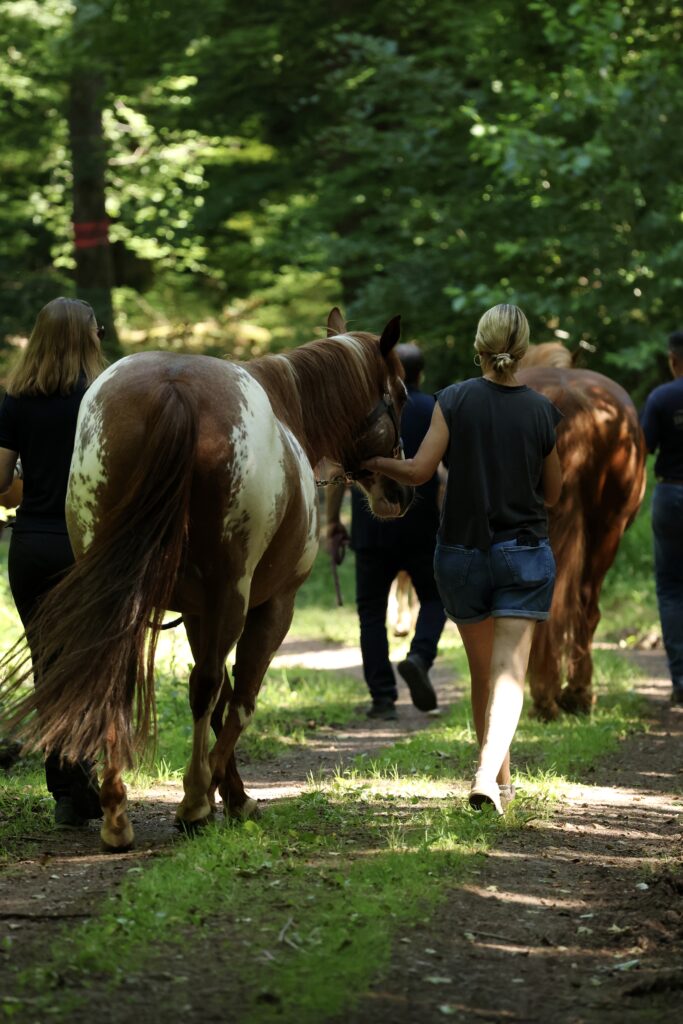 Führungskräftecoaching Andra Schlossmacher