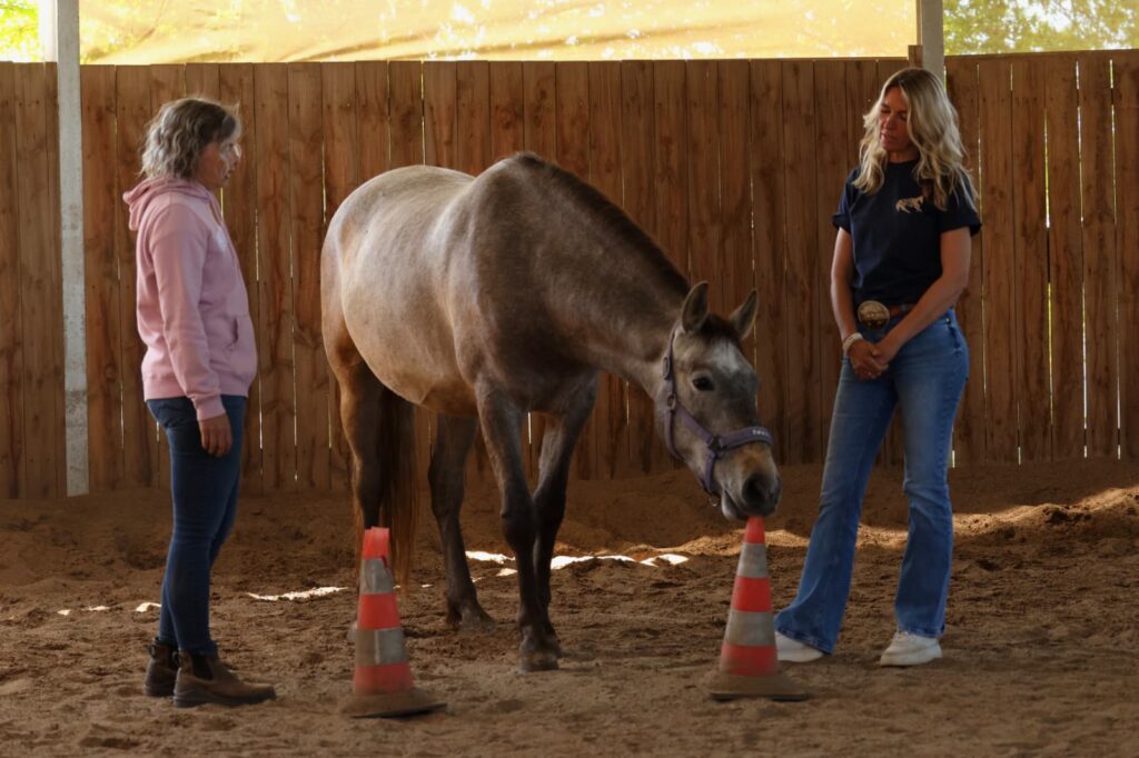 Einzelcoaching, Andrea Schlossmacher,